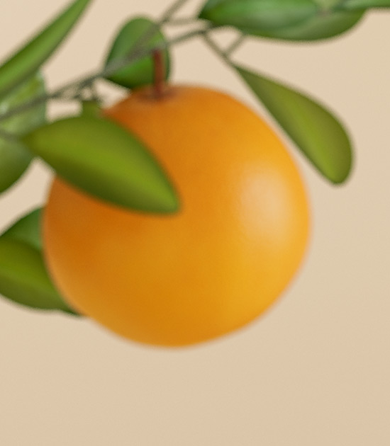 Slider 6